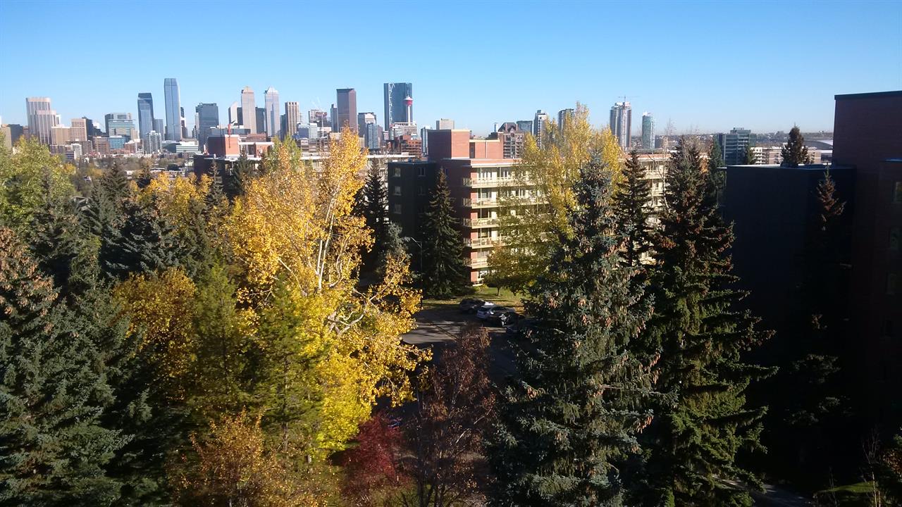 Roof view on downtown2